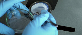Geschultes Laborpersonal ermöglicht professionelle Restschmutzanalysen für die Technische Sauberkeit.